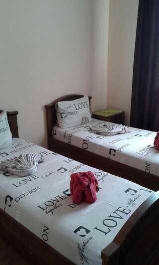 Гостиница Рица Адлер Стандартный двухместный номер с 1 кроватью или 2 отдельными кроватями-2
